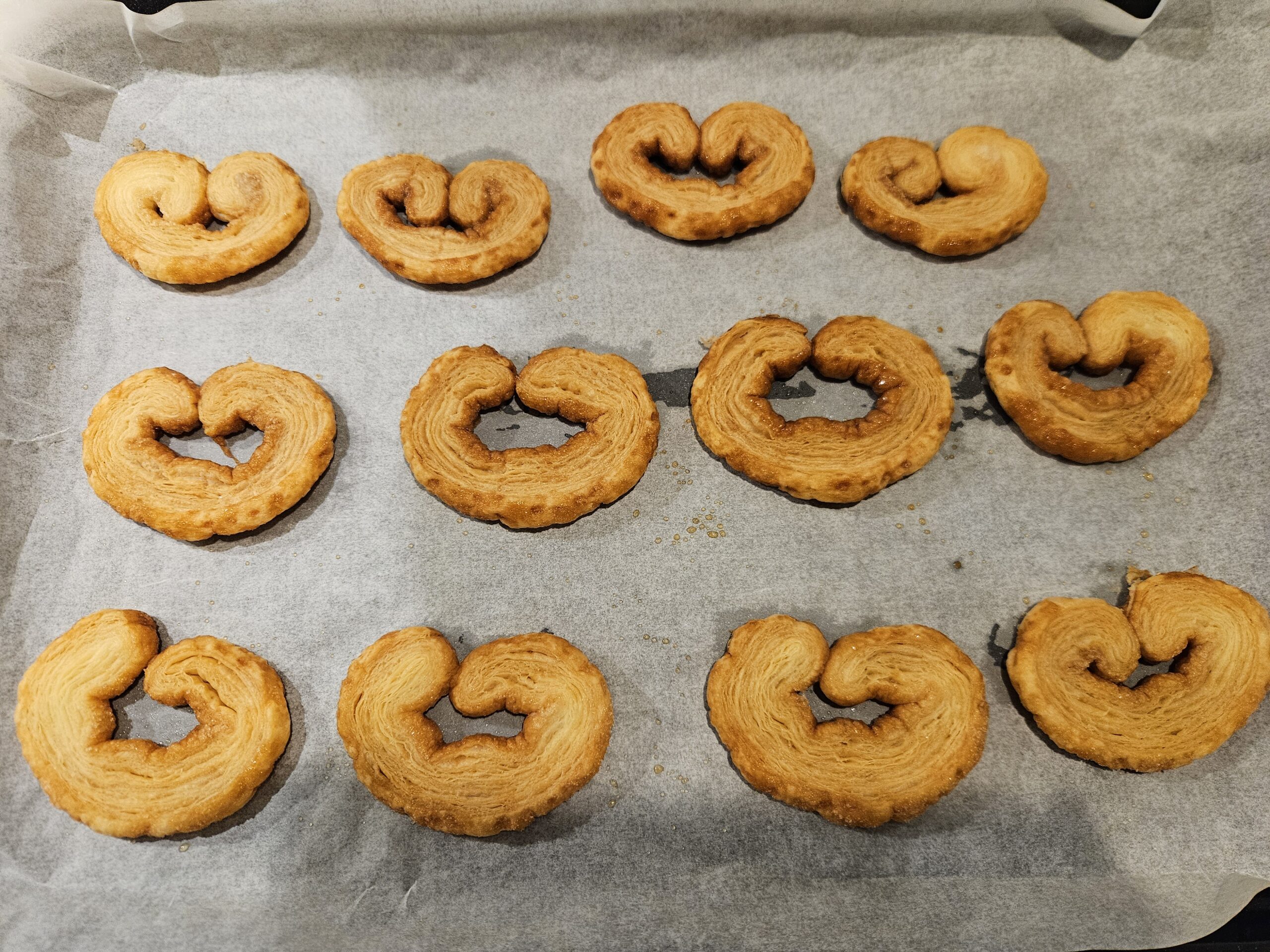 [リベンジ成功] あの『謎の物体』がパルミエに！成功の鍵はピケだった！？